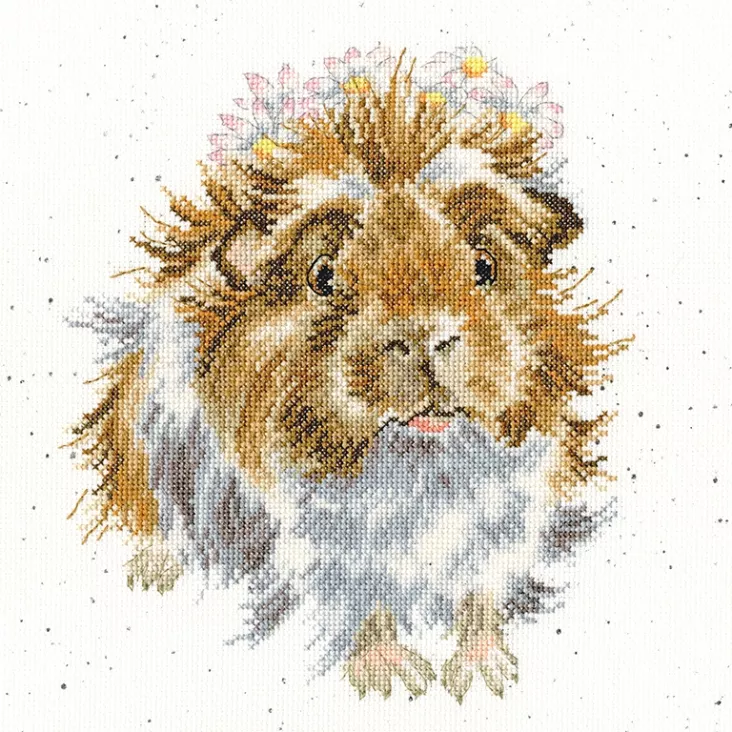 (image for) Grinny Pig